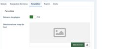 module personnalise option plugins